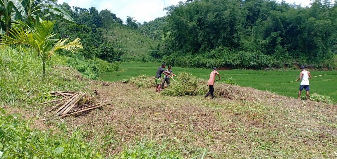 G:\VILLAGE REPORT PICTURES\mawker latest\WhatsApp Image 2023-02-06 at 12.44.40.jpeg